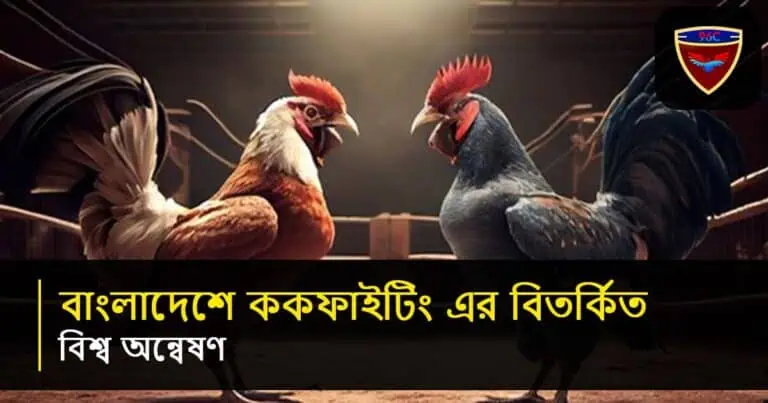 মোরগ লড়াই