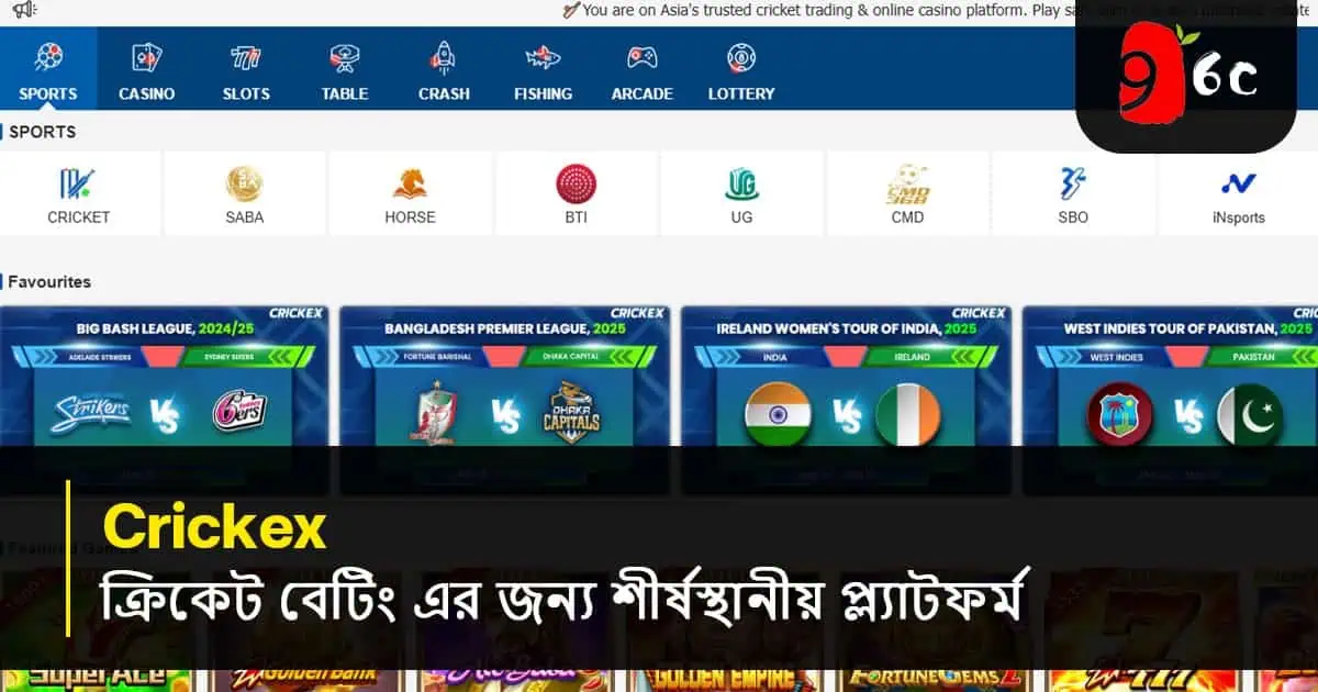 Crickex ক্রিকেট বাজির জন্য অগ্রণী প্ল্যাটফর্ম