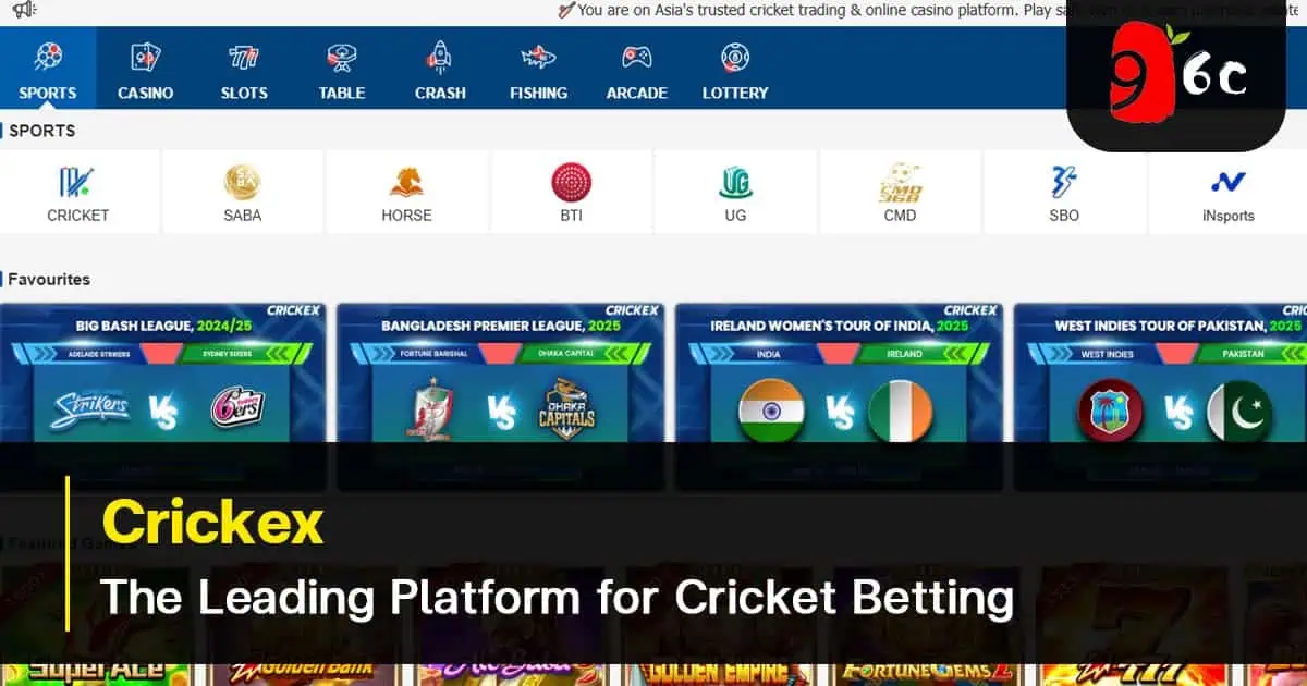 Crickex The Leading Platform for Cricket Betting