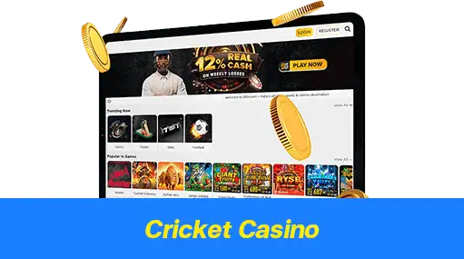 Cricket Casino